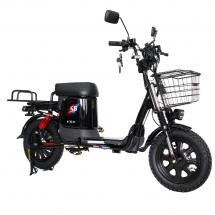 Электровелосипед Master PRO 1200W 30Ah