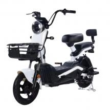 Электроскутер Shtenli Model 21 Performance (аккумулятор 4шт 20Ач12В)
