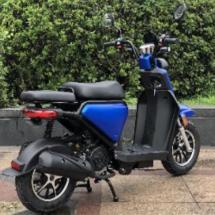 Скутер SPRMOTORS GEAR new