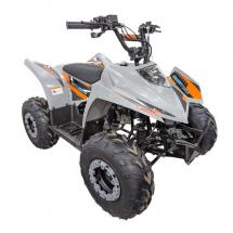 Купить квадроцикл Regulmoto SK11 110сс Квадроцикл Regulmoto SK11 110сс