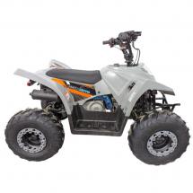 Купить квадроцикл Regulmoto SK11 110сс Квадроцикл Regulmoto SK11 110сс
