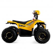 Электрический квадроцикл Lucky Duck EDX100