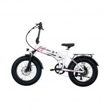 Электровелосипед складной Lucky Duck EZB206