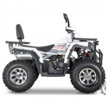 Купить квадроцикл бензиновый YACOTA VIKING LONG 250 (мотокомплект) Квадроцикл бензиновый YACOTA VIKING LONG 250 (мотокомплект)