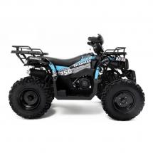 Квадроцикл SHARMAX Activator 250 (мотокомплект)