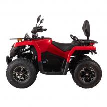 Купить электроквадрицикл Bizon YK250EL LUX