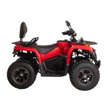 Купить электроквадрицикл Bizon YK250EL LUX